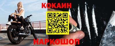 бошки Шелехов