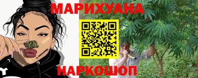 бошки Шелехов