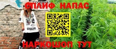 индика Шебекино