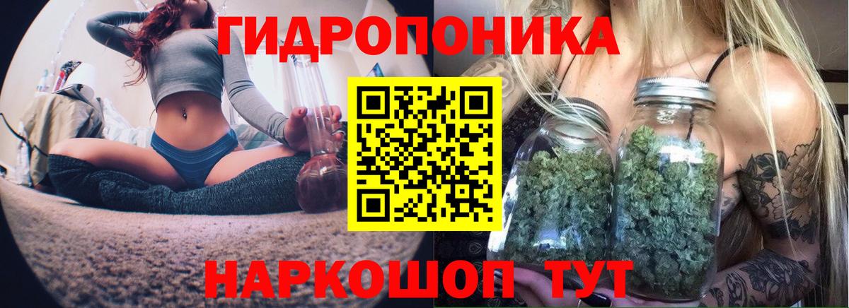 Конопля OG Kush Новый Уренгой